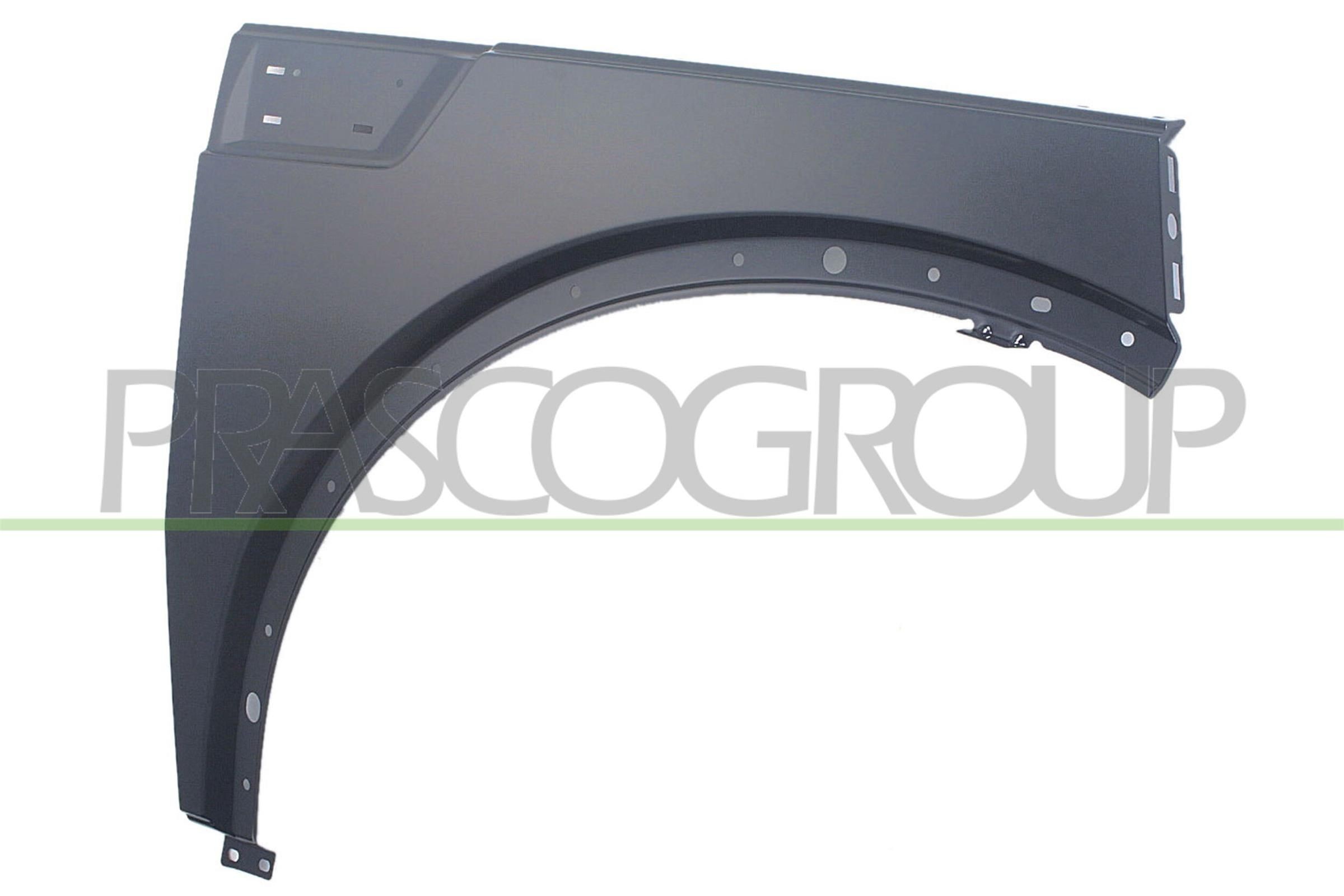 PRASCO Spatbord DG8003013 PRASCO DG8003013 Spatbord Dodge Ram 1500 DS prijs