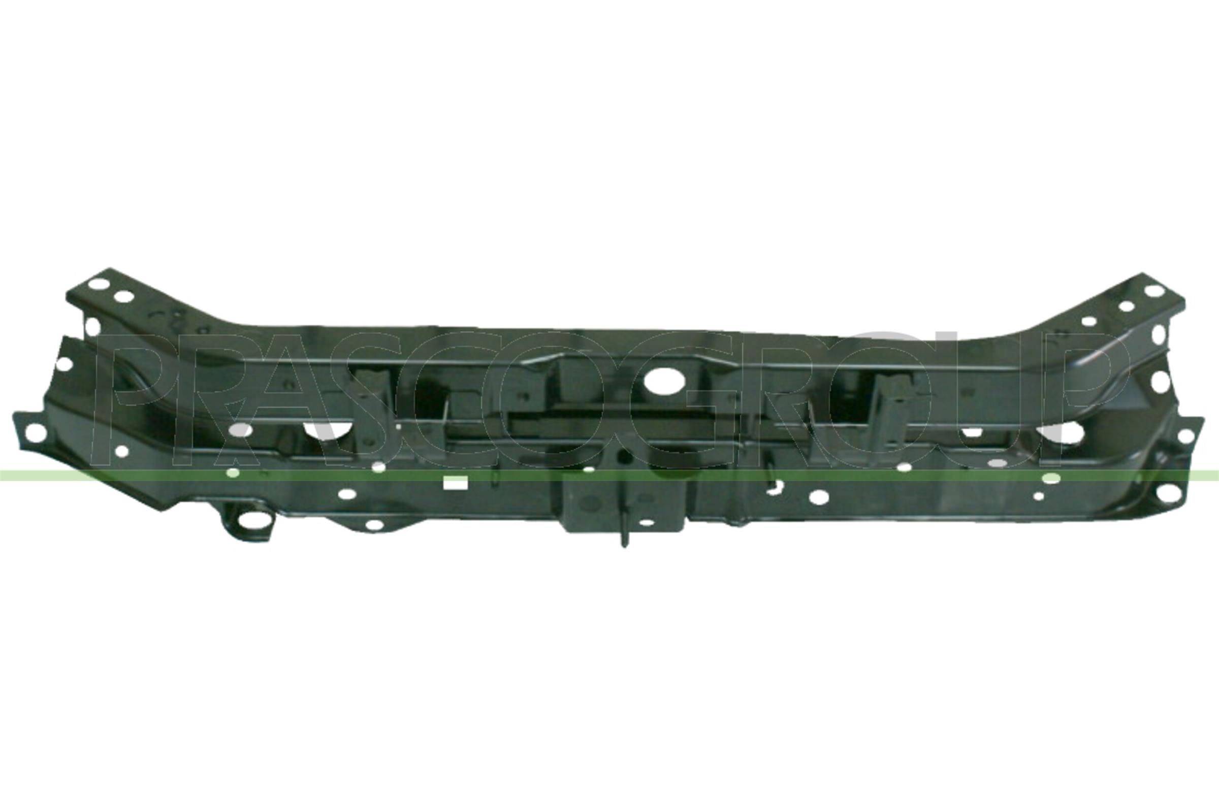 PRASCO Front kledning DS3003201 DS3003201 Frontplate NISSAN PATROL PRASCO