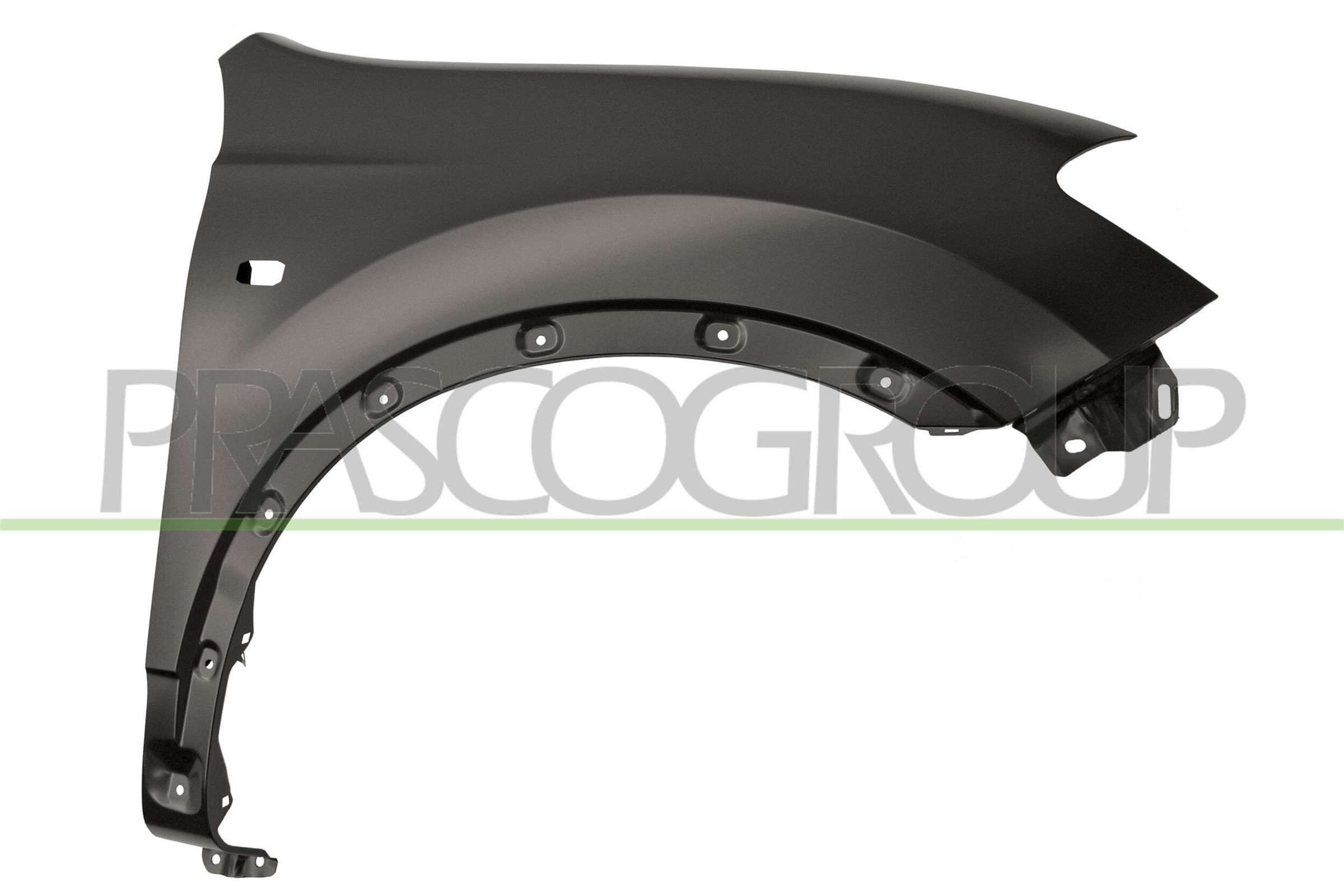 PRASCO Hjulskjerm DS7113013 DS7113013 Skvettskjerm PRASCO NISSAN PATHFINDER