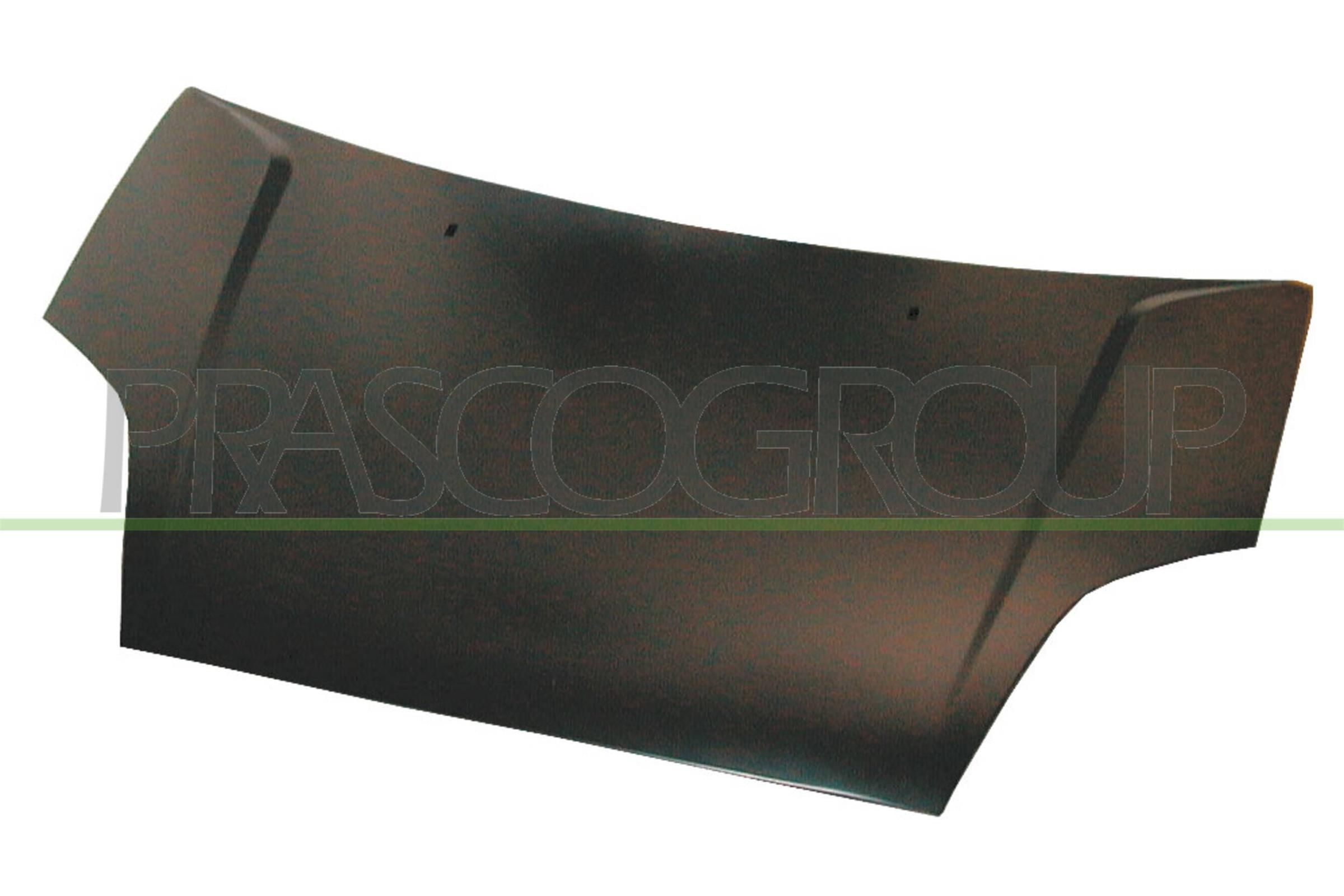 PRASCO Motorpanser FD3423100 PRASCO FD3423100 Motorpanser FORD Fiesta Mk5 Hatchback (JH1, JD1, JH3, JD3) 1.0 Flex 73 hk 2010