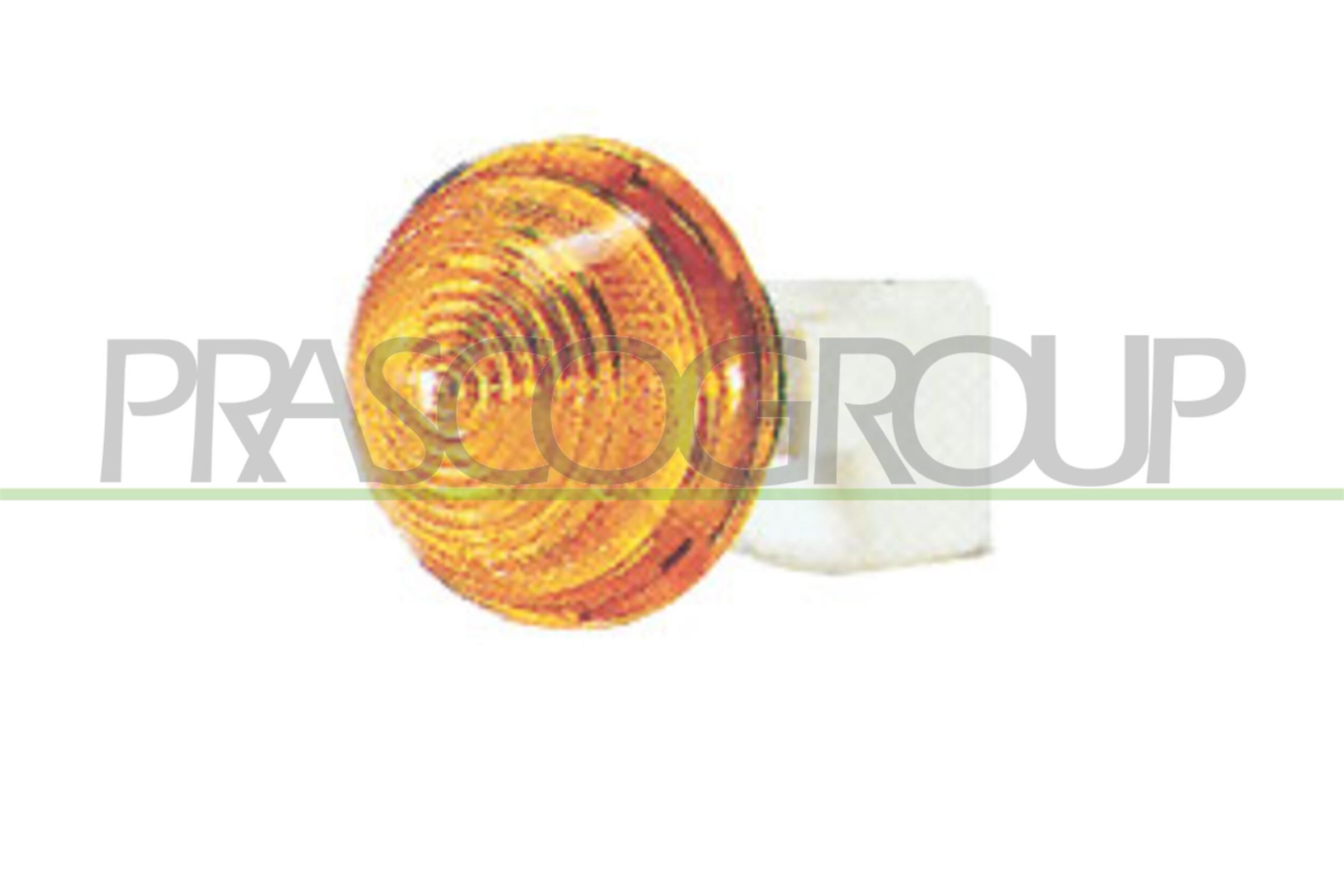PRASCO Blinklys FT0194039 Blinkers PRASCO COUPE FT0194039 billige