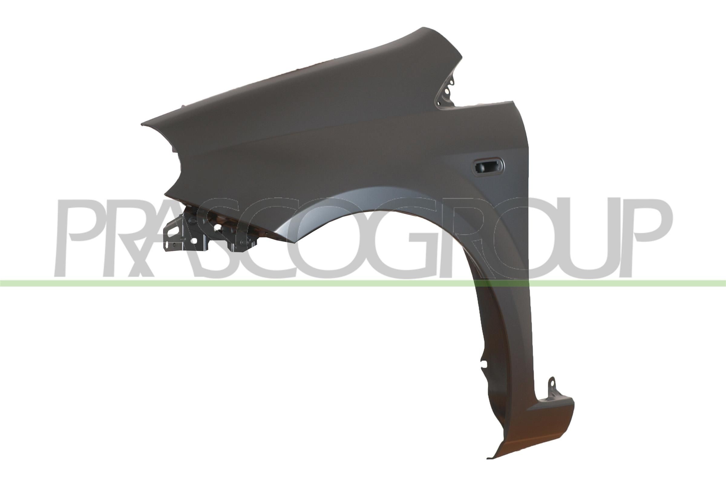 PRASCO Skärm FT3423034 Byta Skärm Fiat Punto 199 kostnad PRASCO FT3423034