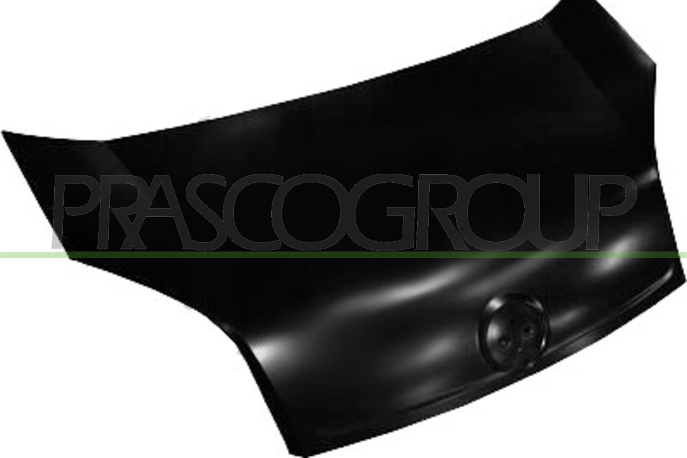 Motorkap PRASCO FT9073100 PRASCO FT9073100 Motorkap en onderdelen FIAT FIORINO 2002