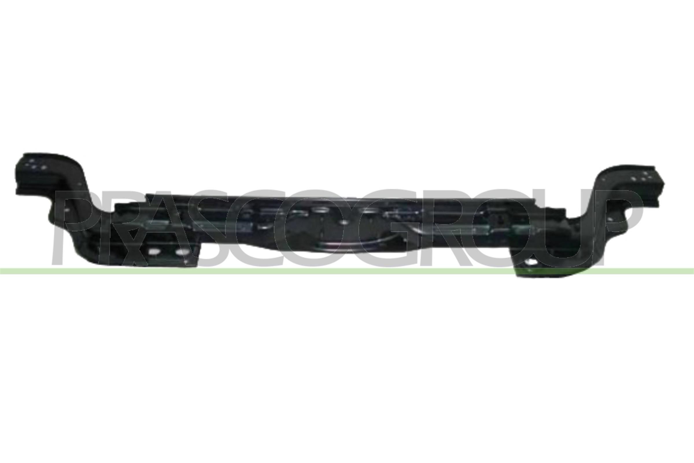 PRASCO Pannellatura anteriore FT9073210 FT9073210 Pannellatura anteriore PEUGEOT 207 PRASCO costo