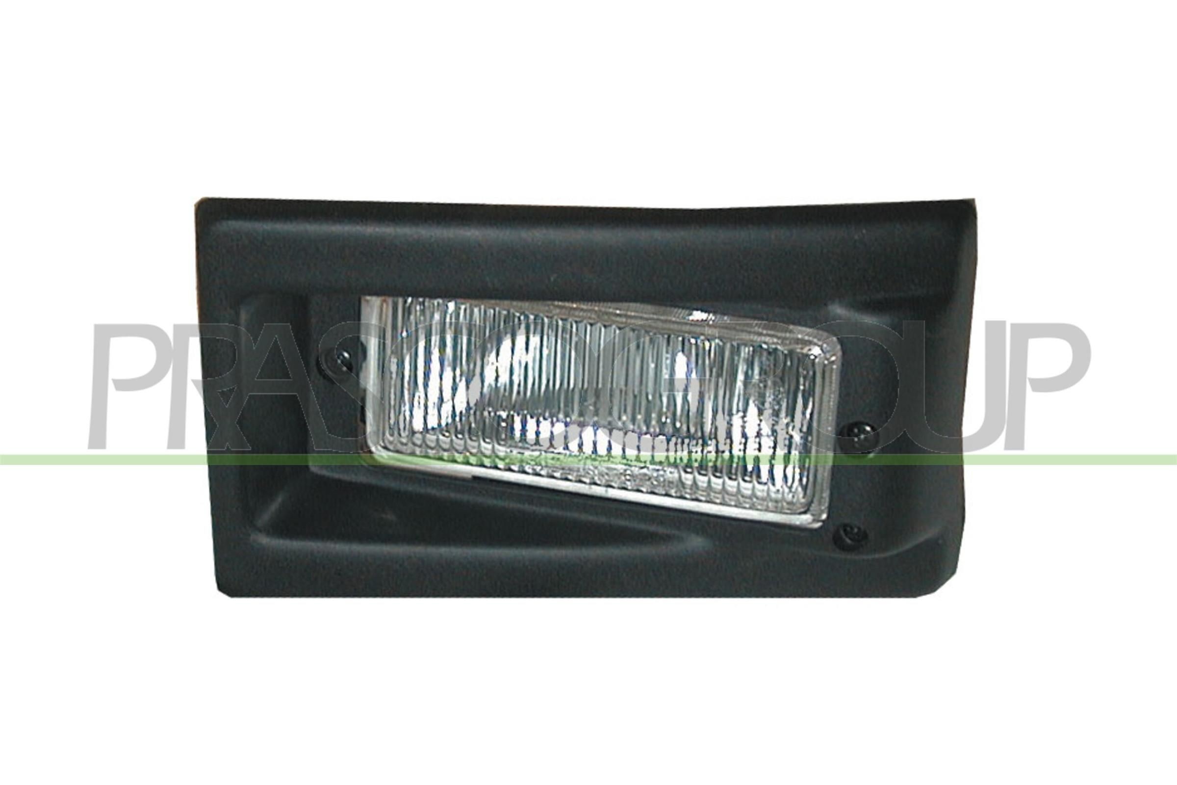 PRASCO Dimljus FT9194414 PRASCO FT9194414 Dimljus Fiat 500 L original