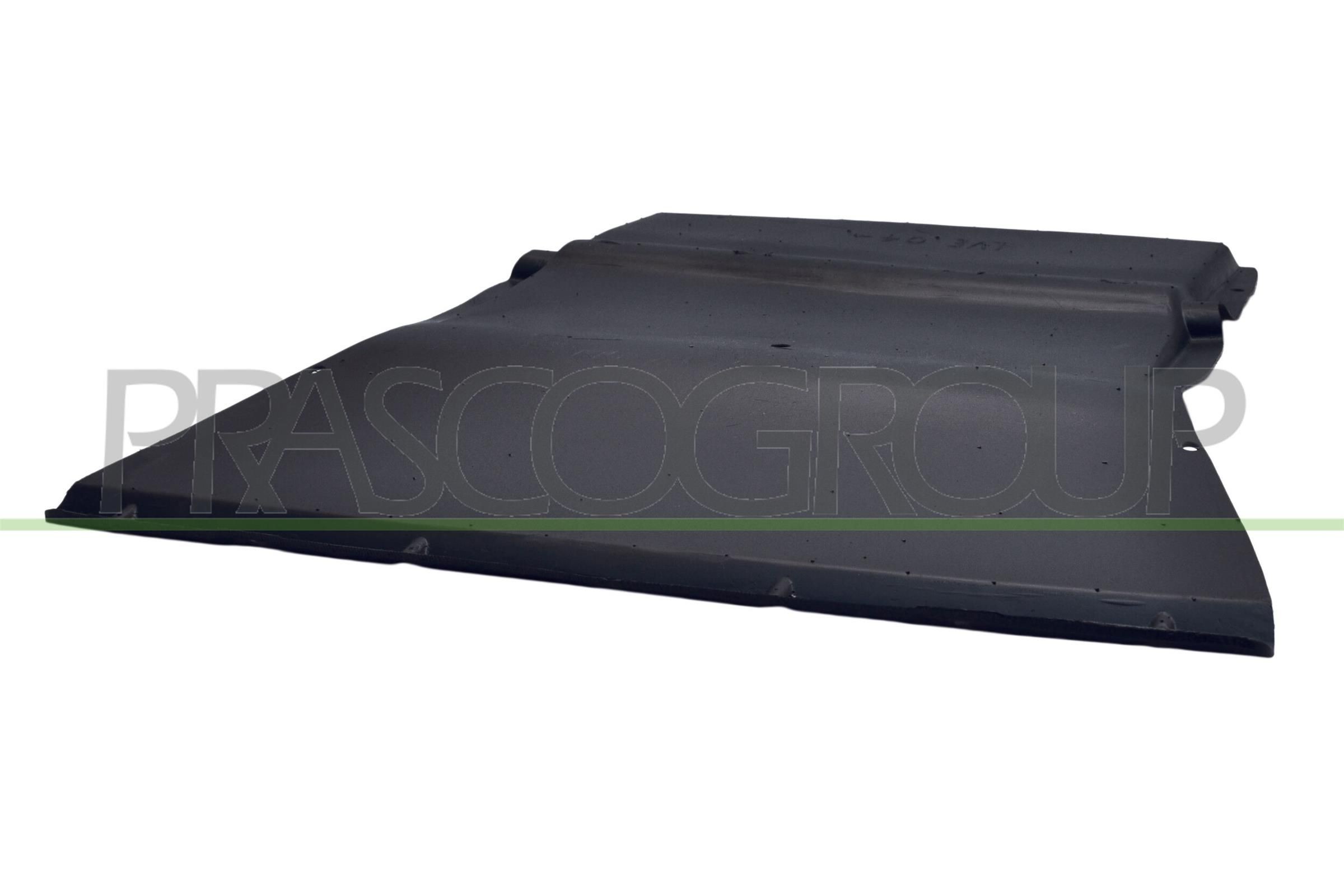 PRASCO Insonorisation du compartiment moteur FT9261900 PRASCO FT9261900 Insonorisant du compartiment moteur Iveco Daily 3 à un prix avantageux