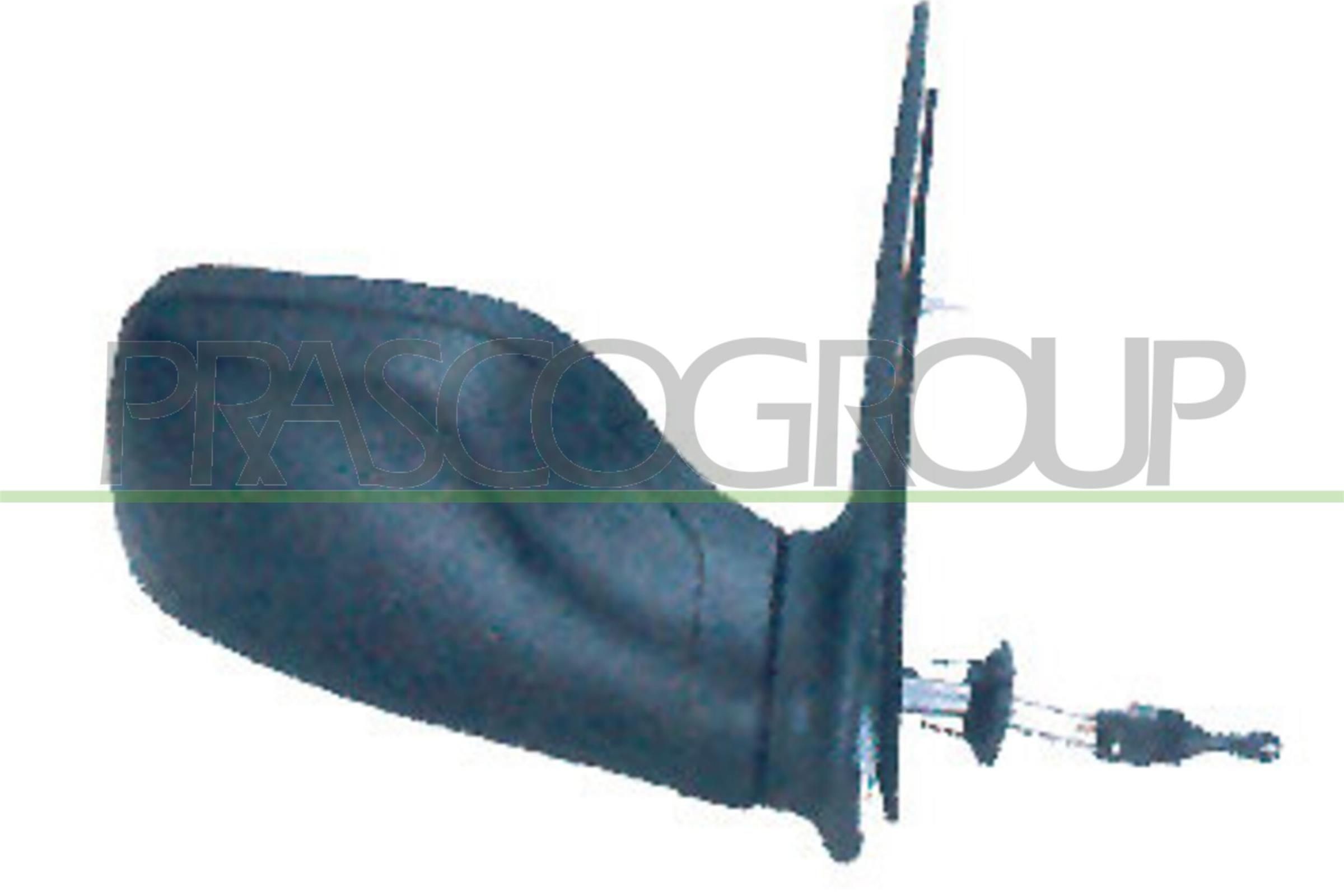 PRASCO Espelho retrovisor PG0077113 PG0077113 Retrovisor exterior PEUGEOT 207 PRASCO