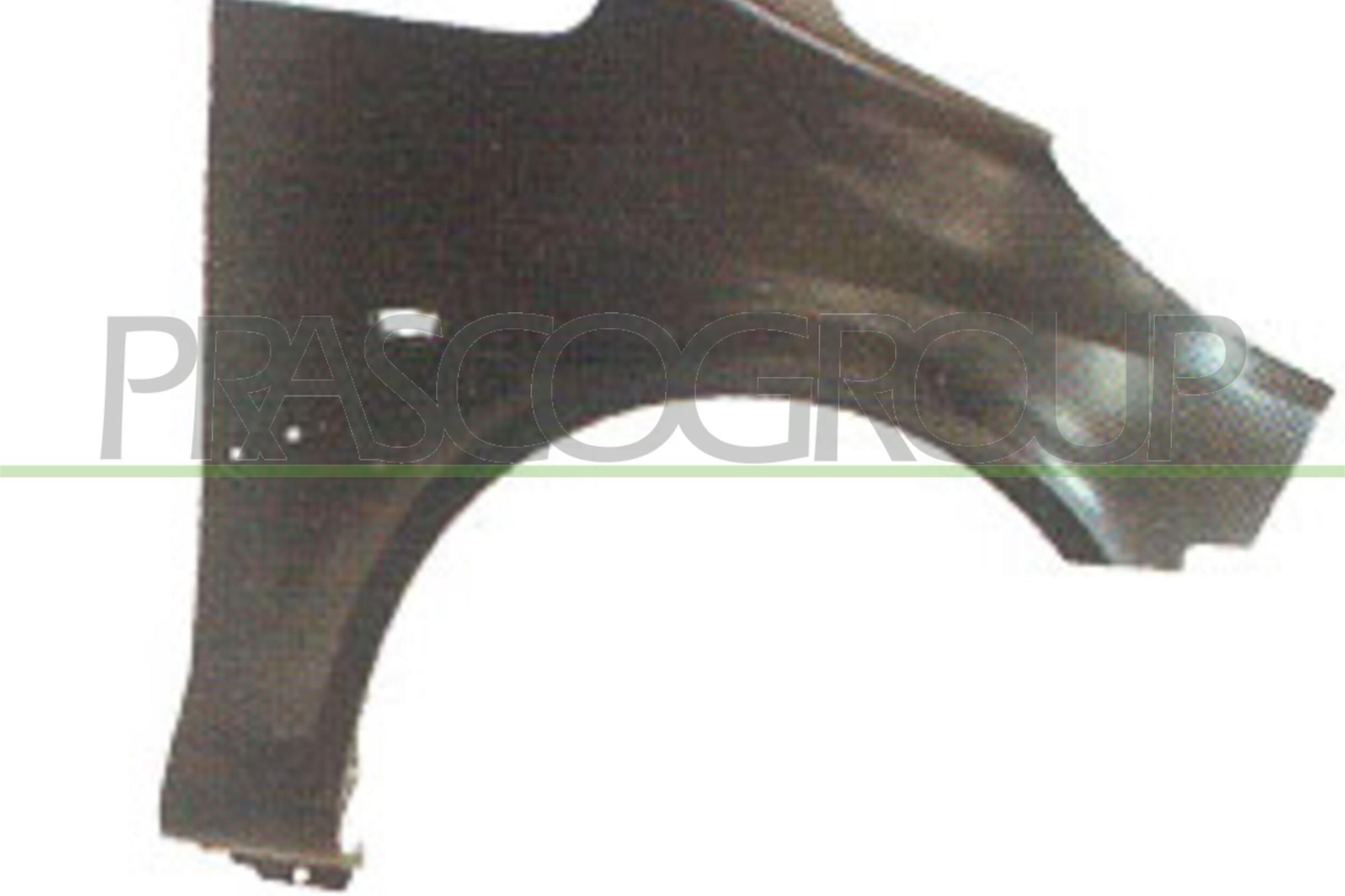 Poritiib PRASCO PG2203013 PRASCO PG2203013 Esiporitiib ja tagaporitiib PEUGEOT 1007 2018
