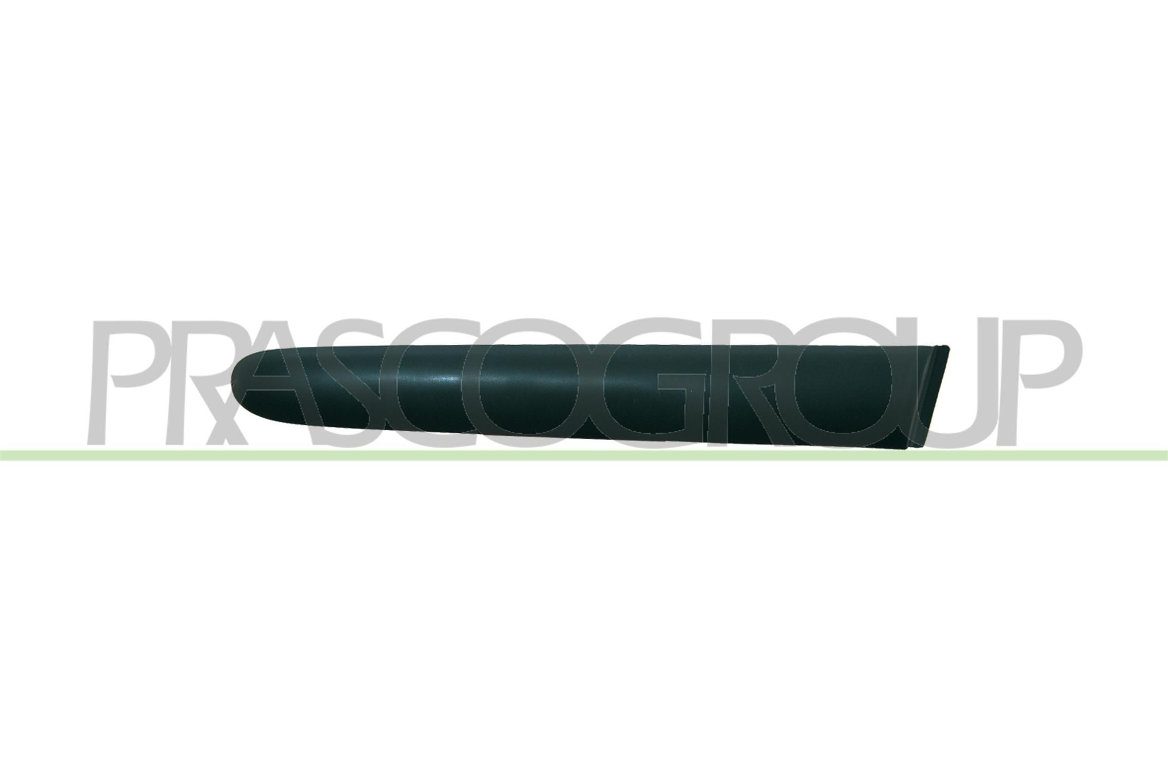 PRASCO Bumper moulding PG3201243 PRASCO Premium PG3201243 Bumper moulding