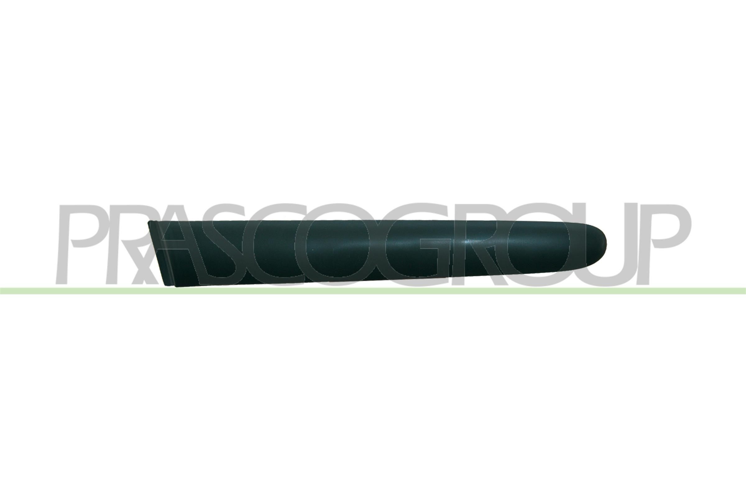 PRASCO Bumper moulding PG3201244 PRASCO Premium PG3201244 Bumper moulding