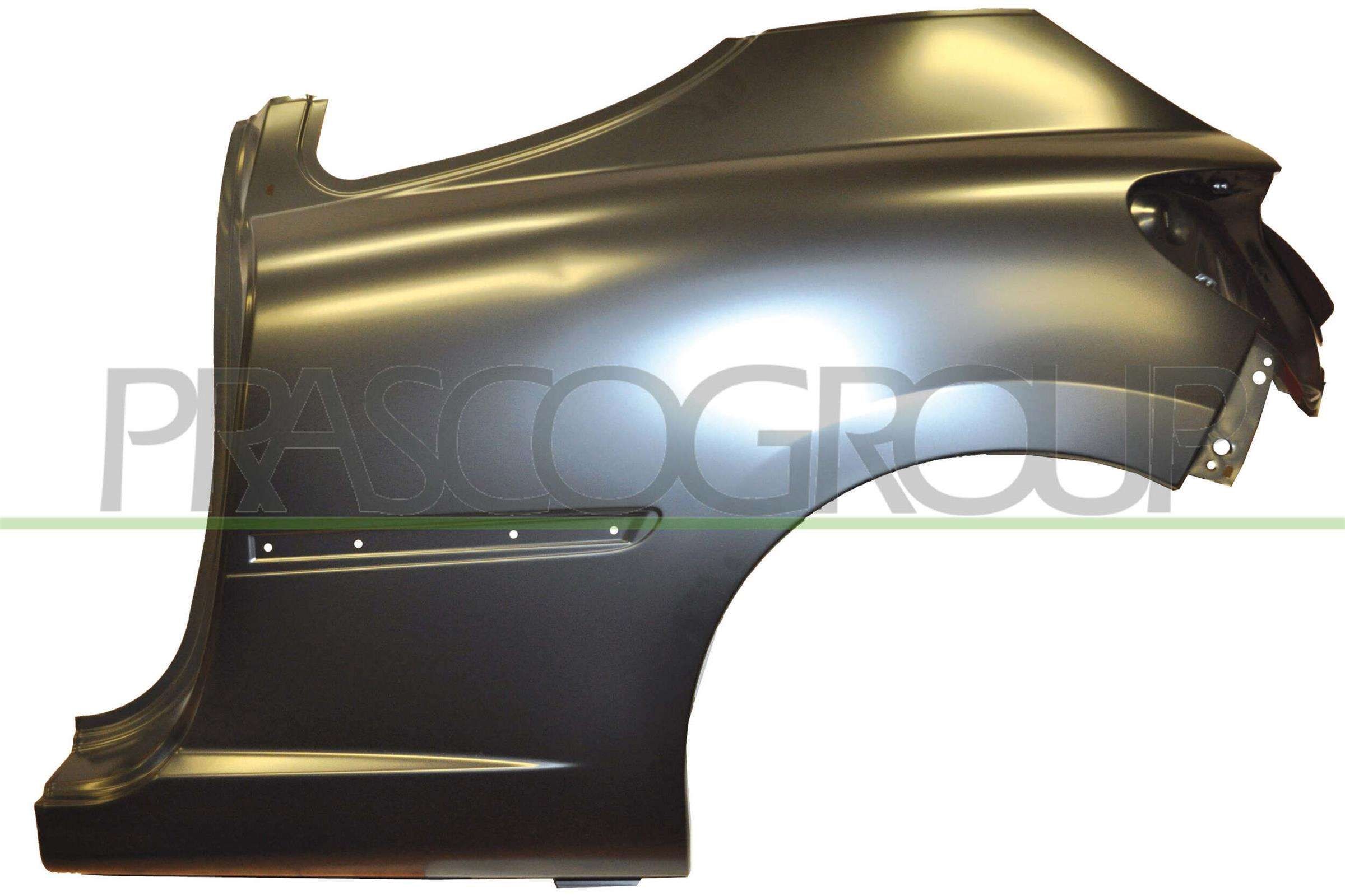 PRASCO Passaruota PG3203053 PRASCO PG3203053 costo Passaruota Peugeot 207 cc originale