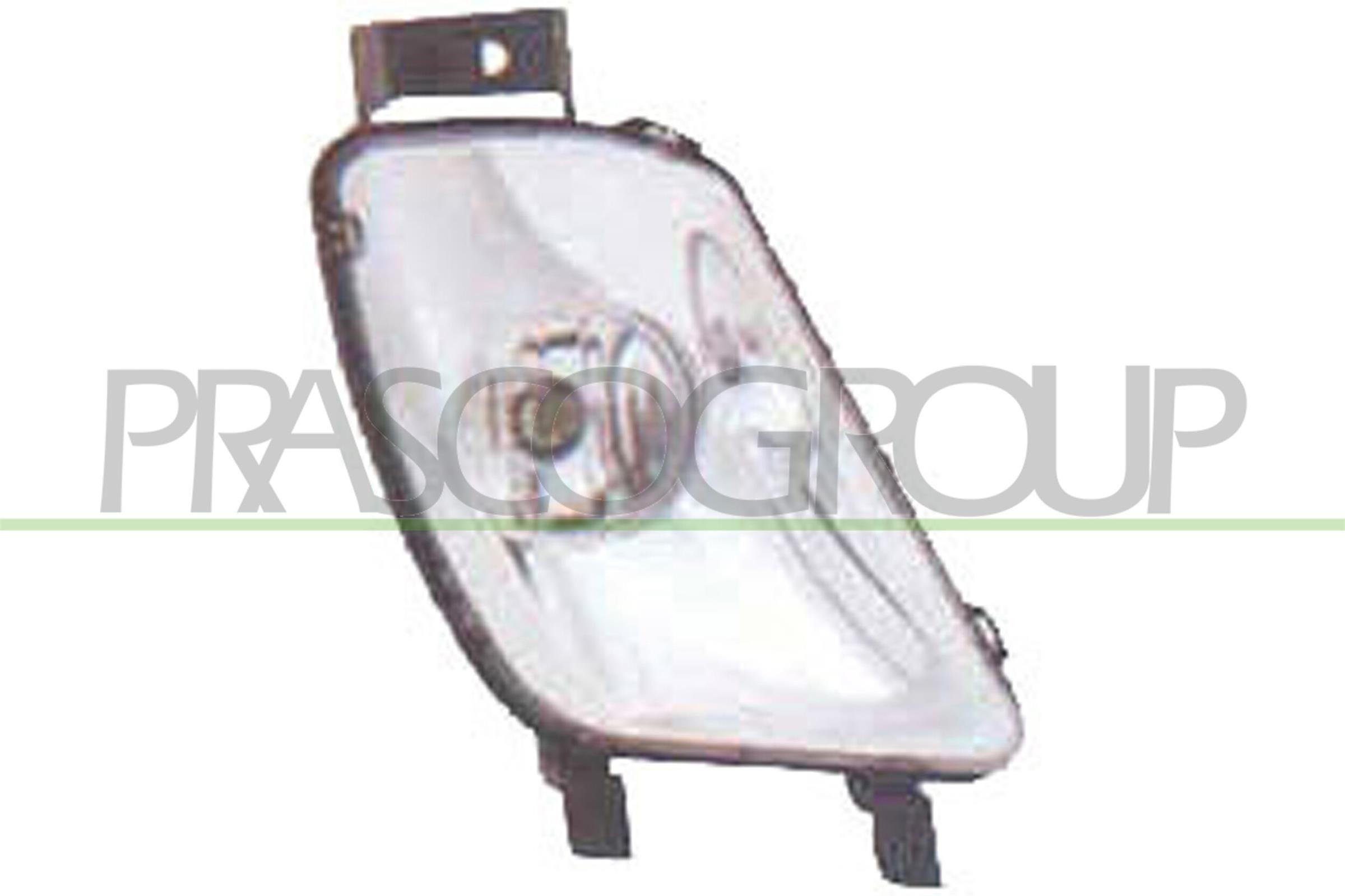 PRASCO Dimljus PG4244413 PRASCO PG4244413 Dimljus 308 SW I original