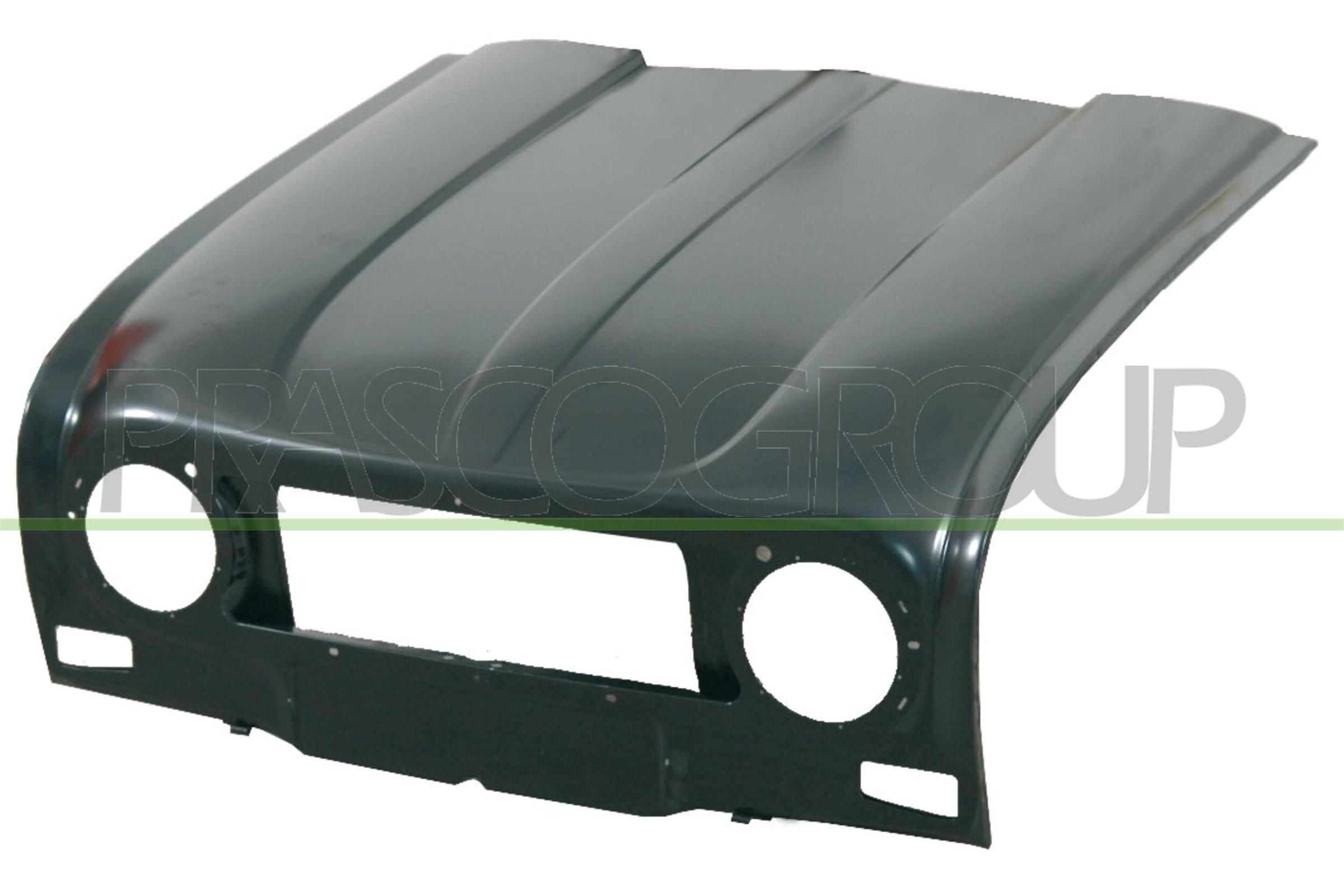 PRASCO Motorpanser RN0013120 PRASCO RN0013120 Motorpanser RENAULT Zoe (BFM_) ZOE (BFMD) 109 hk 2024