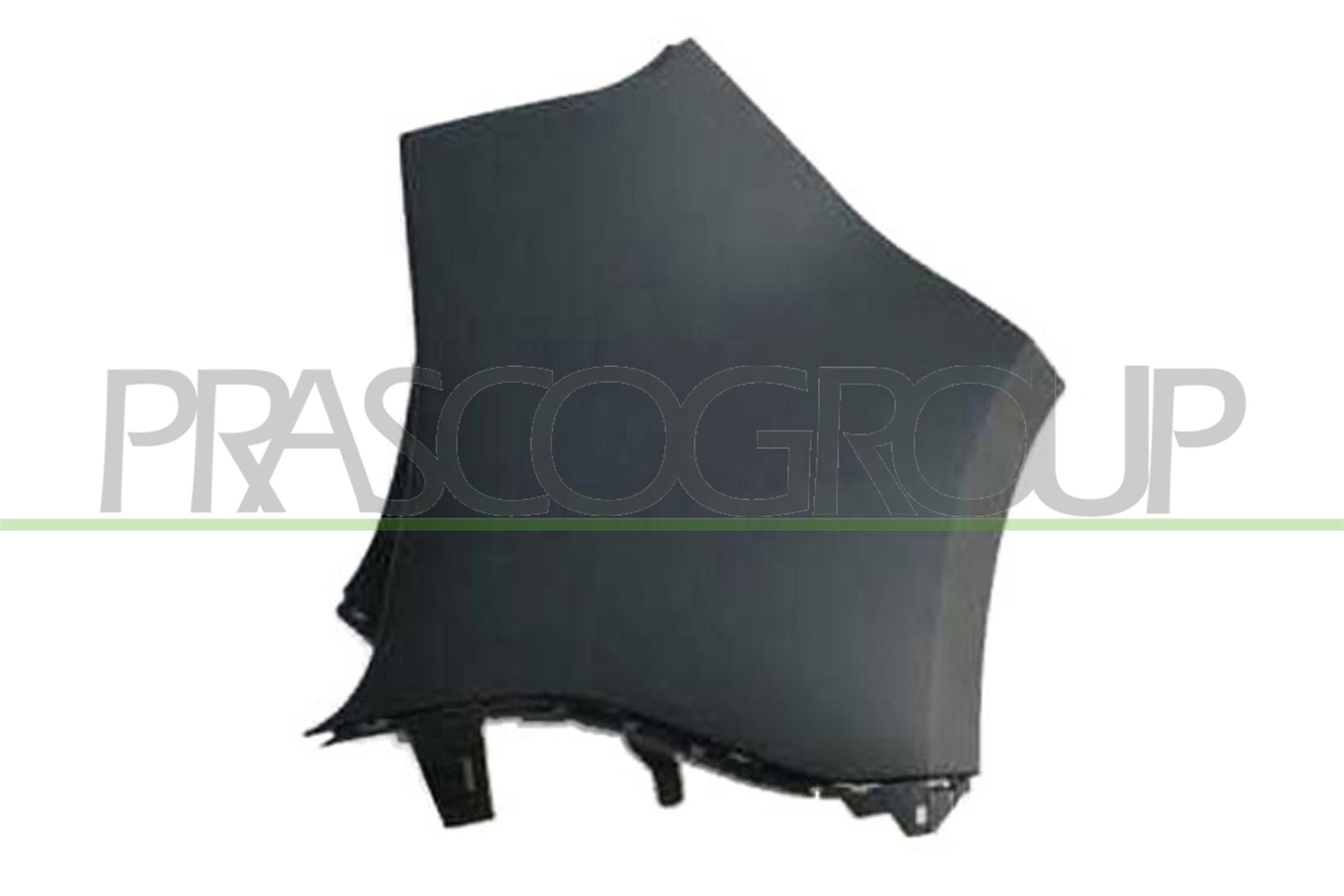 PRASCO Støtfanger bak RN0361153 RN0361153 Støtfanger RENAULT 18 PRASCO