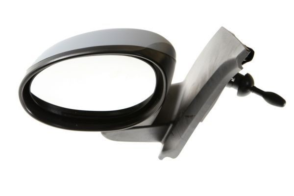 BLIC Wing mirror 5402-04-1191857P BLIC 5402-04-1191857P Wing mirror