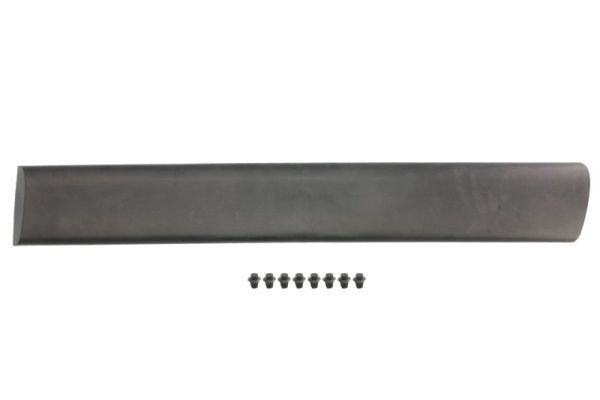 BLIC Baguette et bande protectrice, porte 5703-04-0550573P 5703-04-0550573P Baguette de porte CITROËN XSARA BLIC