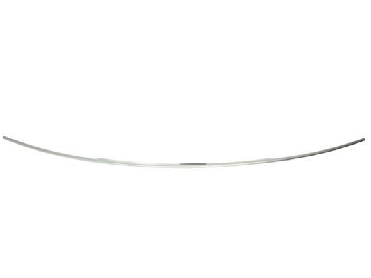 BLIC Friso de para-choques 6502-07-0066920P BLIC 6502-07-0066920P Friso de para-choques