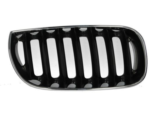 Radiator Grille BLIC 6502-07-0093992P BLIC 6502-07-0093992P Radiator grille BMW X3 2003