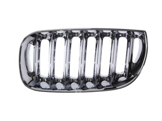 Radiator Grille BLIC 6502-07-0093993P BLIC 6502-07-0093993P 2003 BMW X3 radiator grille replacement