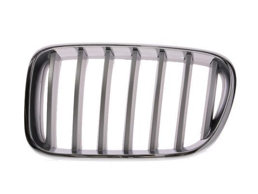 BLIC Radiator grill 6502-07-0093997P BLIC 6502-07-0093997P Radiator grill