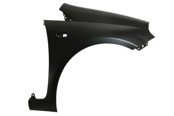 Guarda-lamas BLIC 6504-04-2024312P BLIC 6504-04-2024312P: Guarda-lamas Fiat LINEA 2011