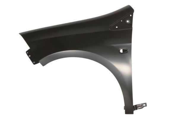 Skærm BLIC 6504-04-2029312P BLIC 6504-04-2029312P Forskærm og bagskærm FIAT BRAVO 2001