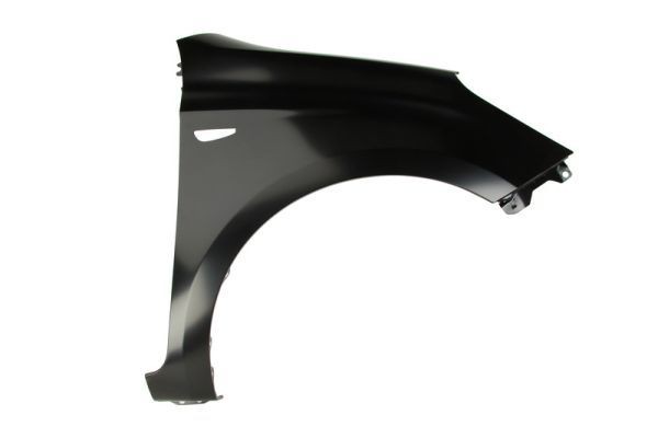 BLIC Guarda-lamas 6504-04-3128312P 6504-04-3128312P Guarda-lamas HYUNDAI H100 BLIC