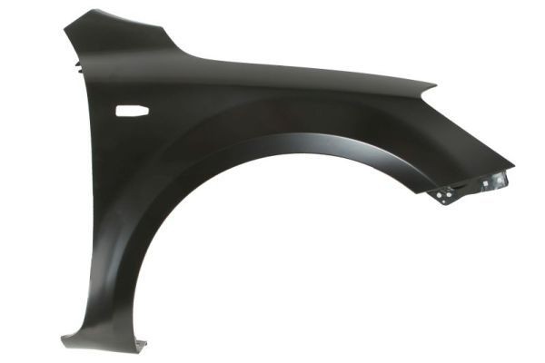 BLIC Spatbord 6504-04-3267312P 6504-04-3267312P Voorspatbord en achterspatbord KIA SORENTO BLIC