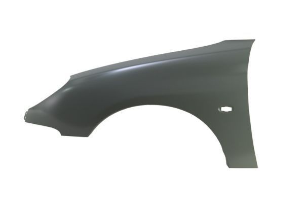 Guarda-lamas BLIC 6504-04-5507311P BLIC 6504-04-5507311P Guarda-lamas PEUGEOT 206 2001