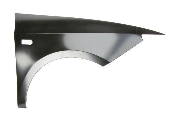 BLIC Guarda-lamas 6504-04-6621312P BLIC 6504-04-6621312P Guarda-lamas Seat Mii kf1 preço