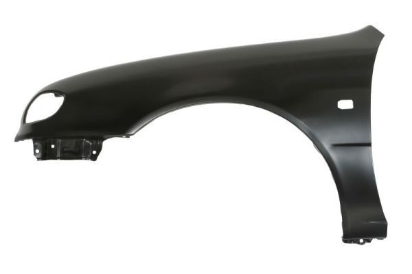 Blatník BLIC 6504-04-8114313P BLIC 6504-04-8114313P Blatník TOYOTA 4 RUNNER 2002