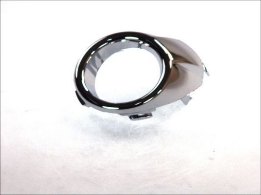BLIC Õhuvõre, põrkeraud 6509-01-2565923P BLIC 6509-01-2565923P Sport iluvõre Ford Fiesta Mk6 Sedaan odava hinnaga