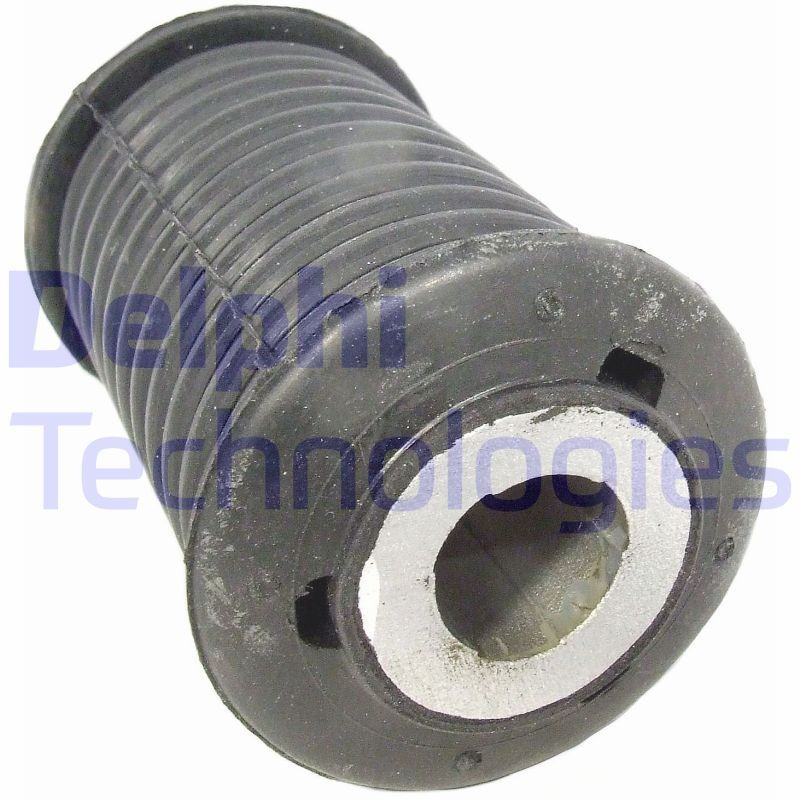 DELPHI Supporto, Molla a balestra TD859W TD859W costo Balestre MERCEDES-BENZ CLS DELPHI