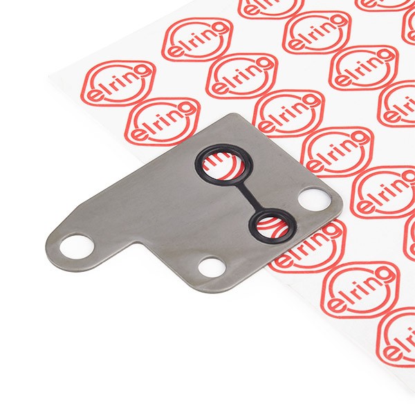 ELRING Guarnizione, Pompa depressione 251.080 251.080 costo Pompa tandem BMW Serie 3 ELRING