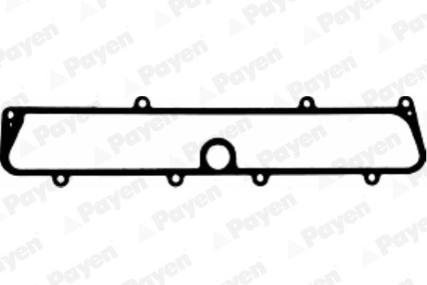 PAYEN Inlaatspruitstuk pakking JD5347 PAYEN JD5347 Inlaatspruitstuk pakking