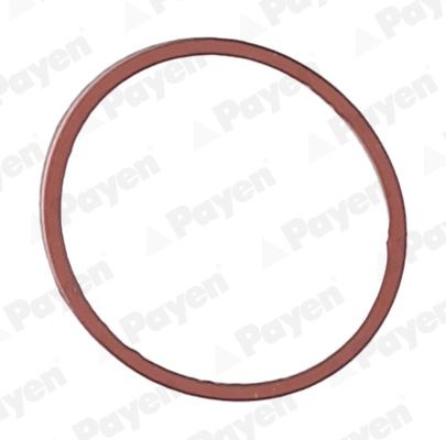 PAYEN Ansaugkrümmer-Dichtung JD5107 Ansaugkrümmerdichtung PAYEN Jaguar VANDEN PLAS JD5107