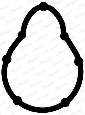 PAYEN Guarnizione, Collettore aspirazione JD5315 JD5315 costo Guarnizione collettore aspirazione FORD USA EXPLORER PAYEN