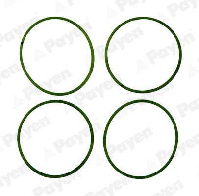 PAYEN Kit guarnizioni, Collettore aspirazione HA5032 PAYEN HA5032 Guarnizione collettore aspirazione TALBOT Simca 1200 S Coupe originali prezzo