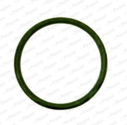 PAYEN Tesnenie kolena sac. potrubia JD538 PAYEN JD538 Tesnenie sacieho potrubia Peugeot 106 2 cena
