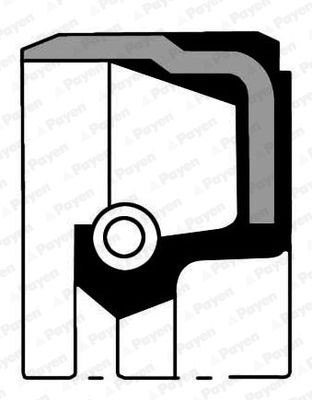 PAYEN Τσιμούχα, εκκεντρ. άξονας NB807 PAYEN NB807 Τσιμούχα εκκεντροφόρου Omega (B) Sedan (V94) τιμες