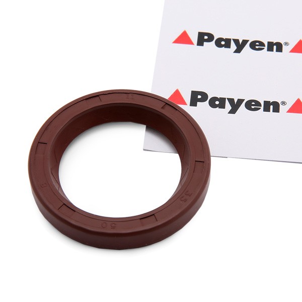 PAYEN Nokkenas keerring NF841 PAYEN NF841 Nokkenas keerring Hyundai Accent II LC originele prijs