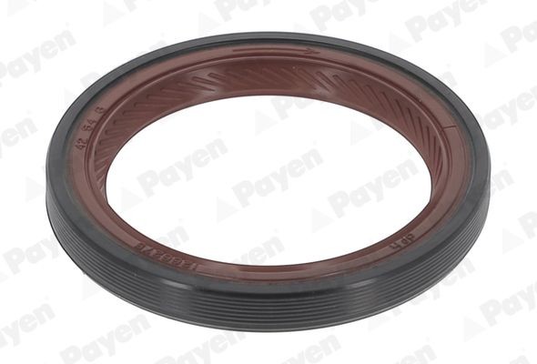 PAYEN Krukaskeerring NA5036 PAYEN NA5036 Krukaskeerring TOYOTA Camry VIII Sedan (_V7_, _VA7_, _VH7_) aan een voordelige prijs