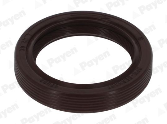 PAYEN Keerring, tussenas NF849 NF849 Tussenas en balansas TOYOTA FJ PAYEN