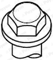 PAYEN Jogo de parafusos da cabeça do motor HBS185 Parafuso allen cabeça cilindrica PAYEN Ford FOCUS HBS185