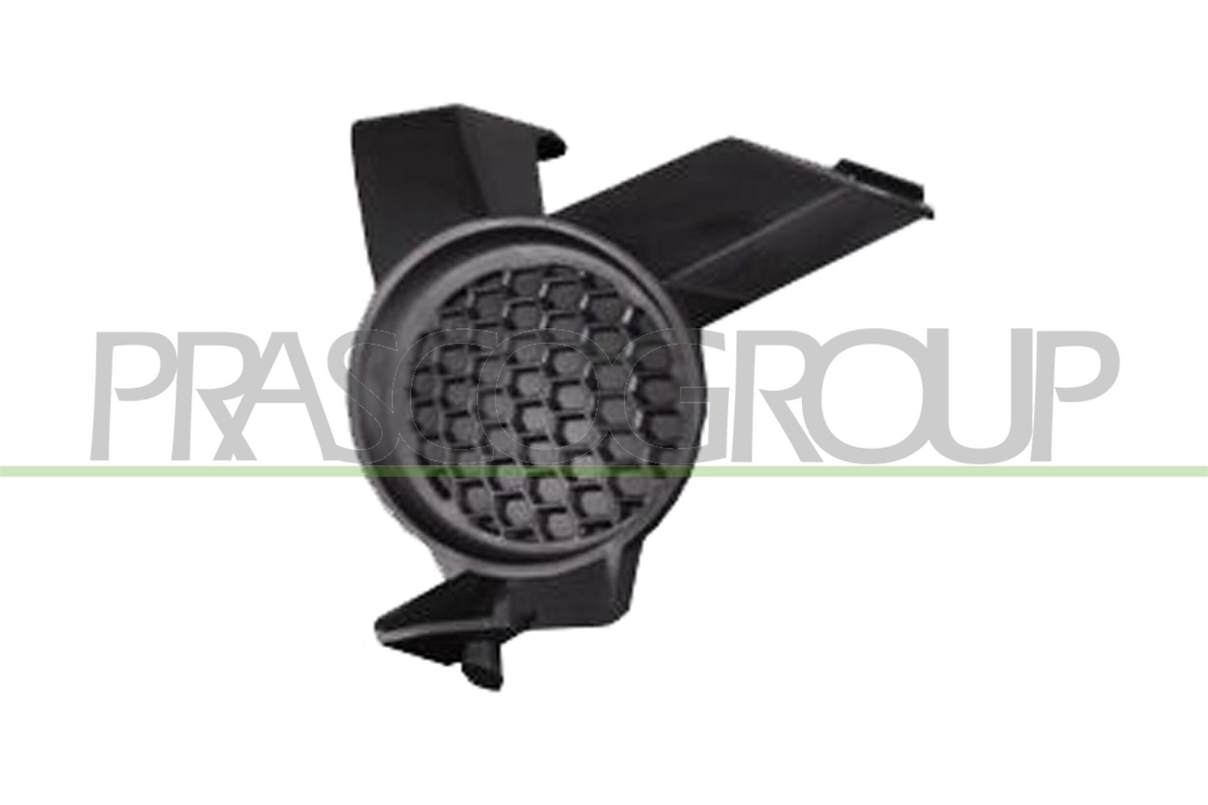 Door repair panel PRASCO DW0203504 PRASCO DW0203504 DAEWOO LANOS 2018 door parts price