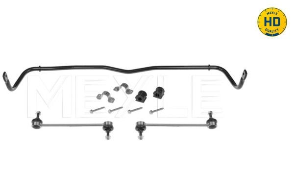 MEYLE Stabilizátor podvozku 100 653 0002/HD 100 653 0002/HD MEYLE Stabilizátor podvozku Jeep lacné