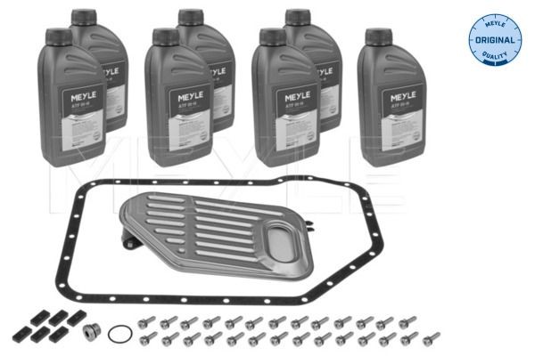 Ölwechselkit für Automatikgetriebe MEYLE 100 135 0001 MEYLE 100 135 0001 VW PASSAT 2001 Automatikgetriebe Filter