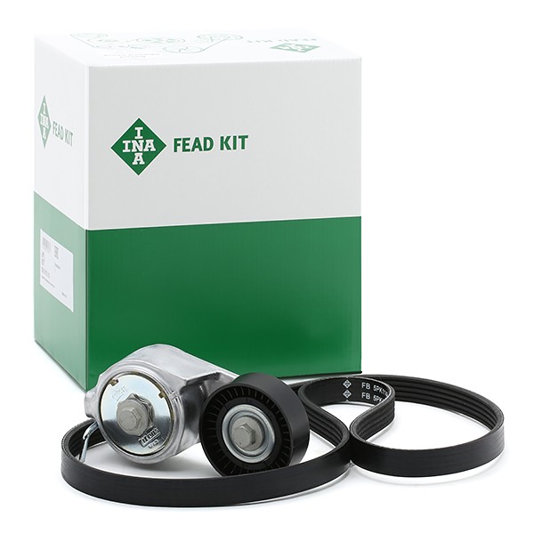 INA Jeu de courroies trapézoïdales à nervures 529 0013 10 INA 529 0013 10 Courroie d'accessoire Lancia Musa 350 pas cher