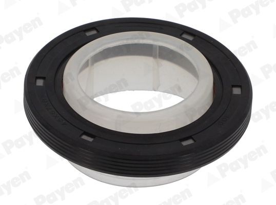 PAYEN Tesniaci krúżok kľukového hriadeľa NA5131 NA5131 Tesniaci krúżok kľukového hriadeľa CHRYSLER NEW YORKER PAYEN