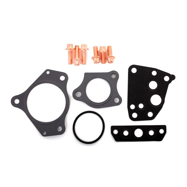 REINZ Kit de montagem, turbocompressor 04-10195-01 REINZ 04-10195-01 originais Kit de montagem turbocompressor CITROЁN JUMPY preço